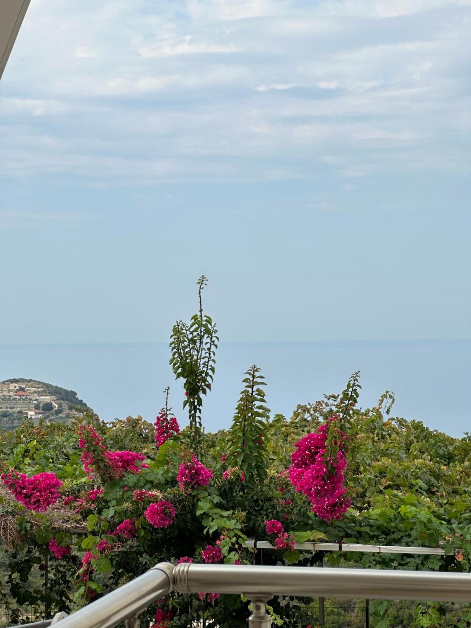 Elea Guesthouse Himare Exterior photo