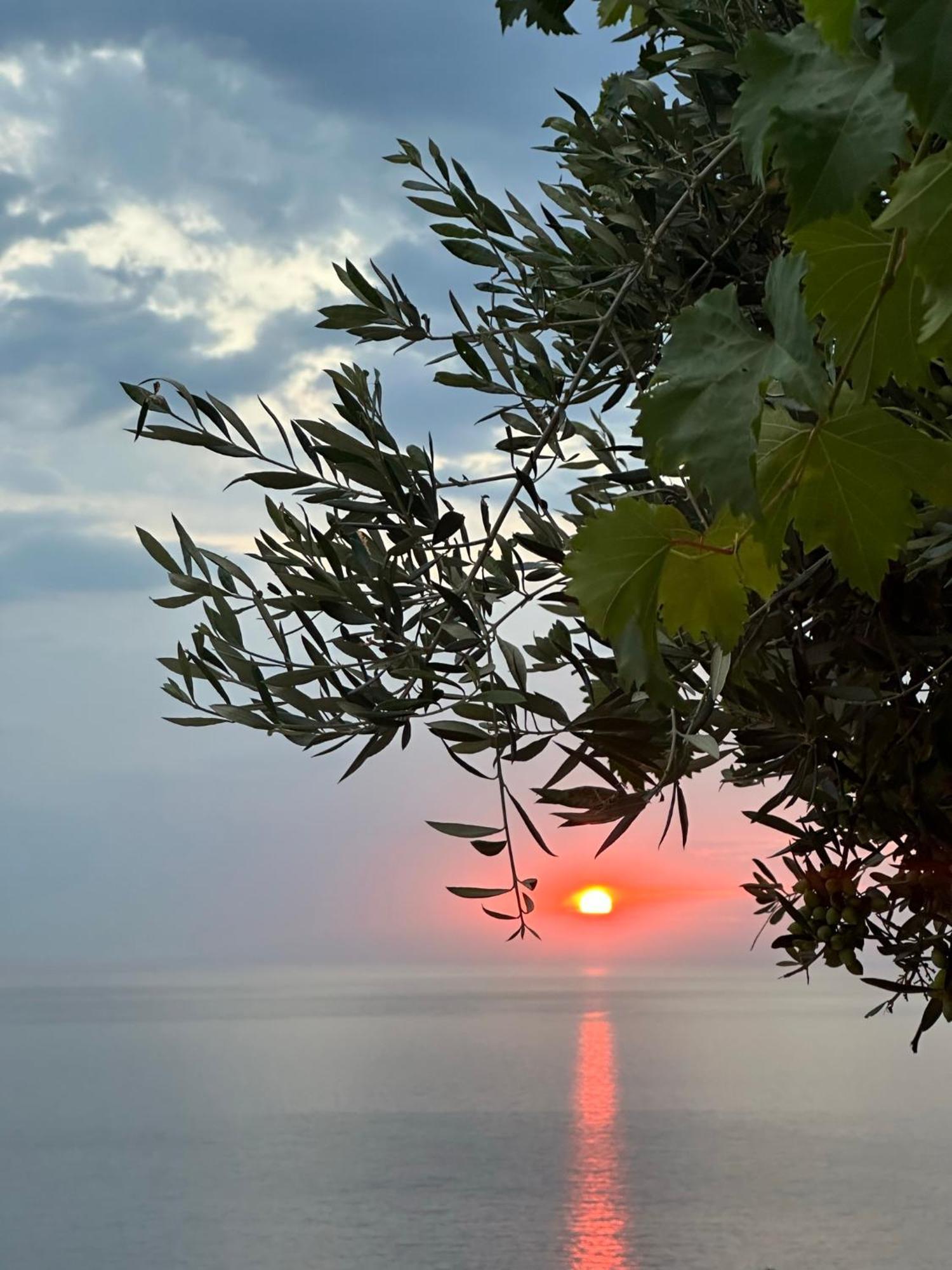 Elea Guesthouse Himare Exterior photo