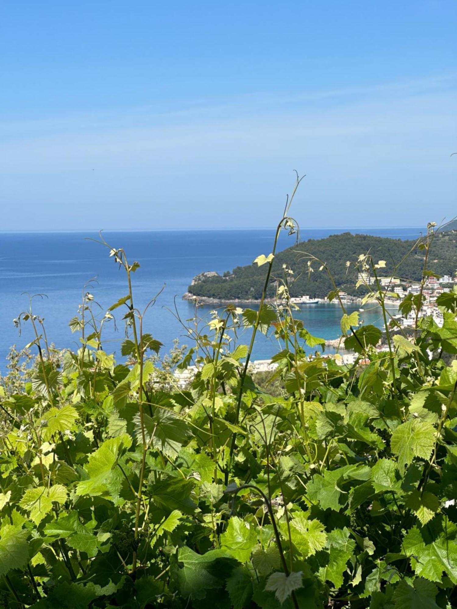 Elea Guesthouse Himare Exterior photo